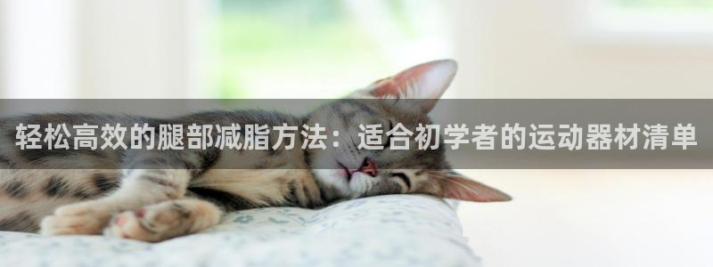 意昂4开户：轻松高效的腿部减脂方法：适合初学者的运动