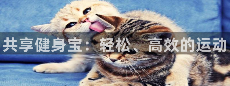 意昂4集团logo：共享健身宝：轻松、高效的运动