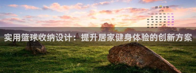 意昂体育4软件：实用篮球收纳设计：提升居家健身体验的