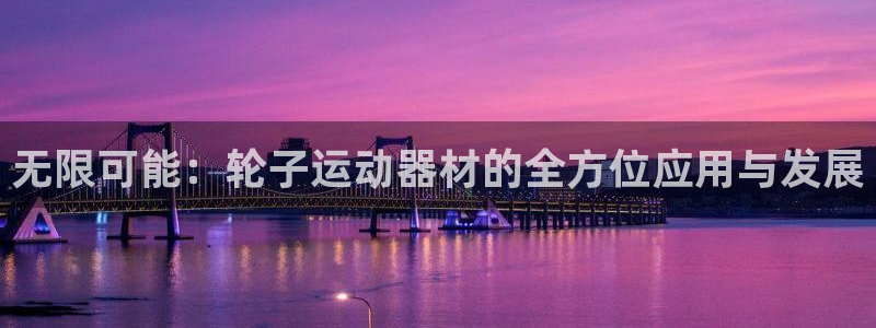 意昂4神州：无限可能：轮子运动器材的全方位应用与发展