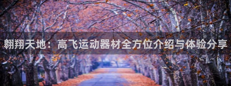 意昂体育4平台假的吗是真的吗吗：翱翔天地：高飞运动器