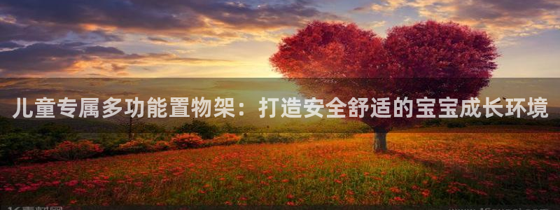 意昂体育4招商电话地址是多少：儿童专属多功能置物架：打造安全