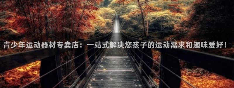 意昂体育4招商：青少年运动器材专卖店：一站式解决您孩
