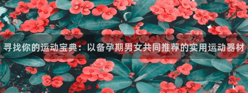 意昂体育4注册：寻找你的运动宝典：以备孕期男女共同推荐的实用