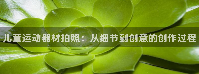 意昂体育4招商电话地址是多少：儿童运动器材拍照：从细