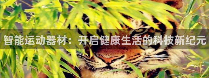 海南意昂体育4发展怎么样：智能运动器材：开启健康生活