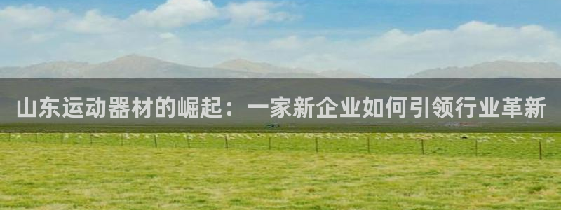 意昂体育4平台是正规平台吗安全吗：山东运动器材的崛起：一家新