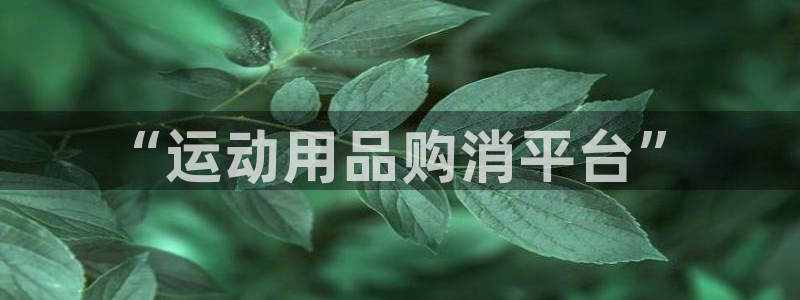意昂体育4招商电话地址是多少：“运动用品购消平台”