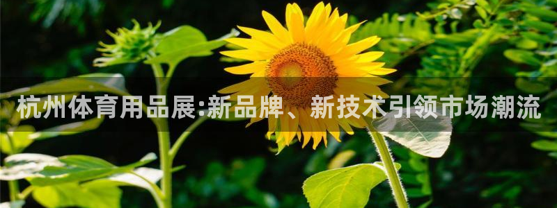意昂4集团：杭州体育用品展:新品牌、新技术引领市场潮流