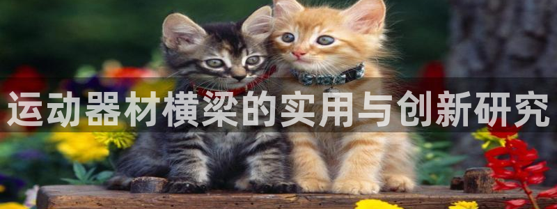 意昂体育4平台注册流程视频：运动器材横梁的实用与创新