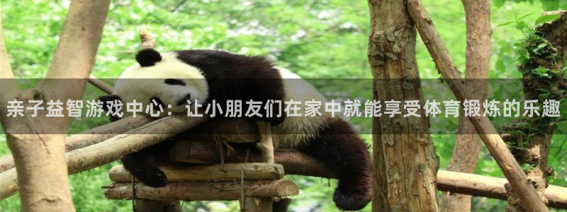 意昂体育4：亲子益智游戏中心：让小朋友们在家中就能享受体育锻