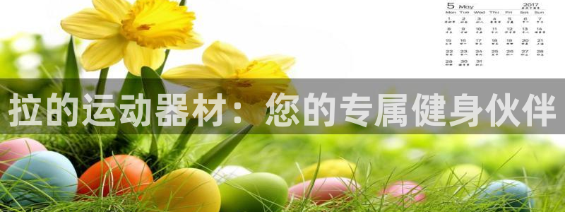 意昂体育4平台注册流程图：拉的运动器材：您的专属健身伙伴