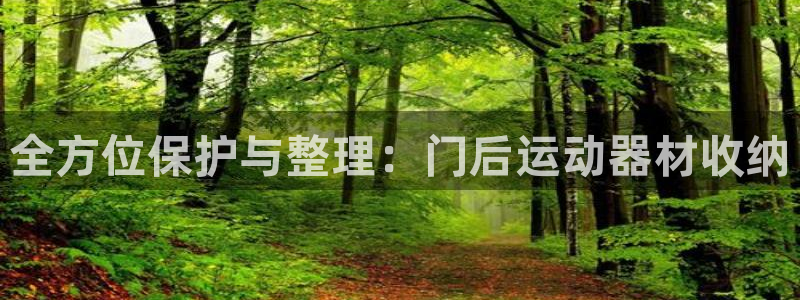意昂4神州：全方位保护与整理：门后运动器材收纳