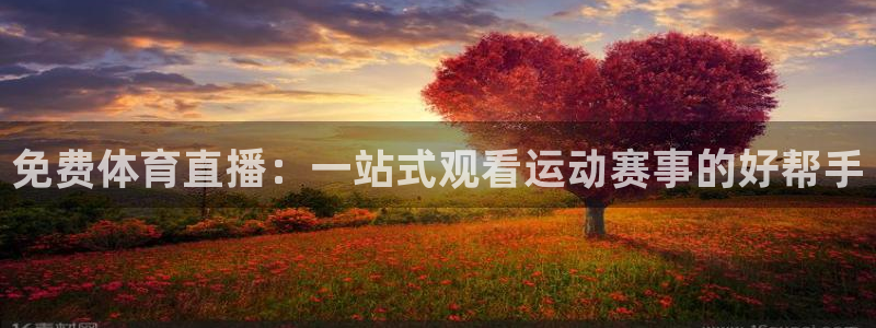 篮球直播jrkan：免费体育直播：一站式观看运动赛事的好帮手