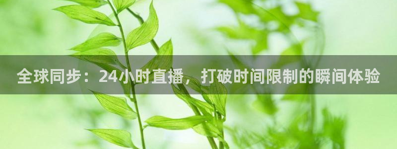 jr看球直播：全球同步：24小时直播，打破时间限制的瞬间体验
