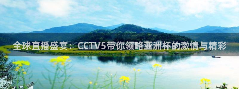 jr看球直播网：全球直播盛宴：CCTV5带你领略亚洲杯的激情与精彩