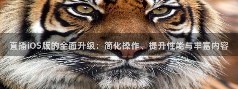 jrkan直播体育nba：直播iOS版的全面升级：简化操作、提升性能与丰富内容