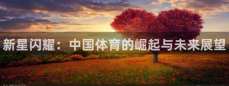 jrkankan直播体育网：新星闪耀：中国体育的崛起与未来展望